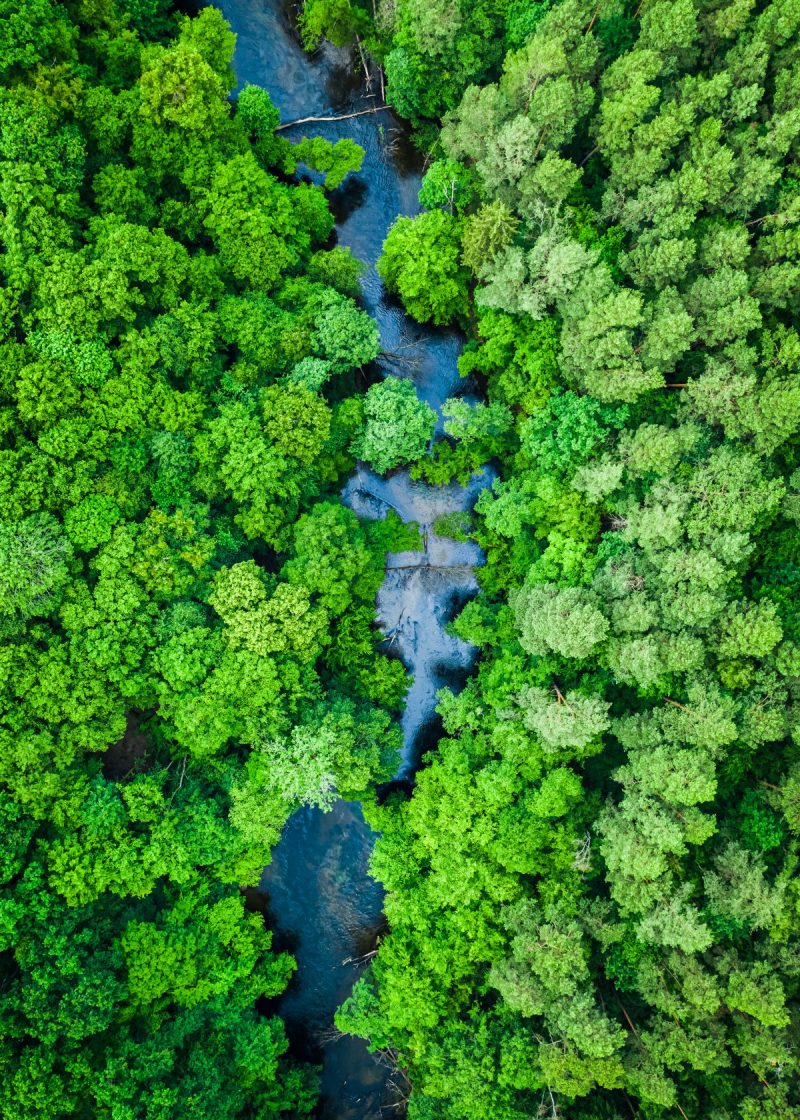 Aerial view of forest and river. Nature in Poland Aerial view of forest and river in summer. Aerial view of nature in Poland, Europe